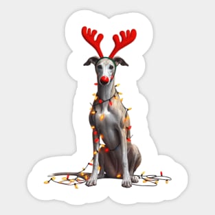 Christmas Red Nose Greyhound Dog Sticker